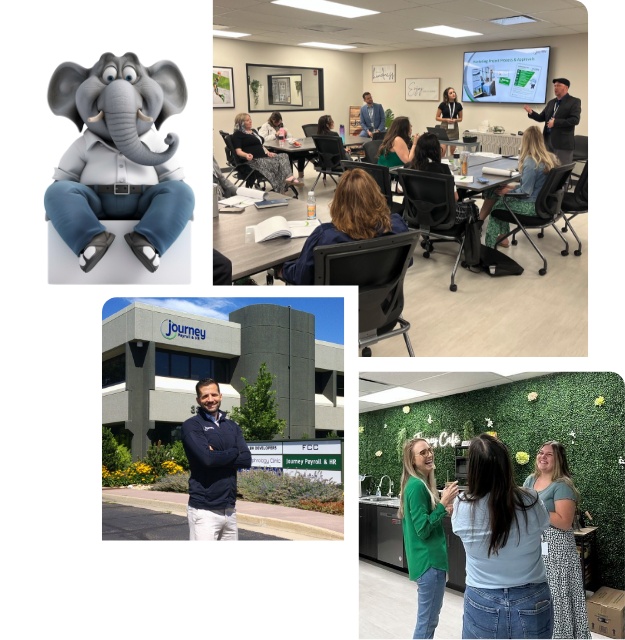 collage of photos of people working together, person in front of building, elephant graphic